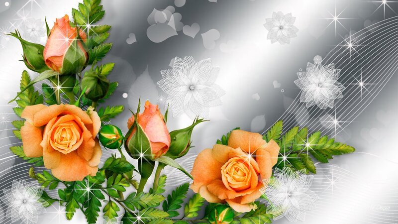 Orange Roses with Green Leaves — Romantic