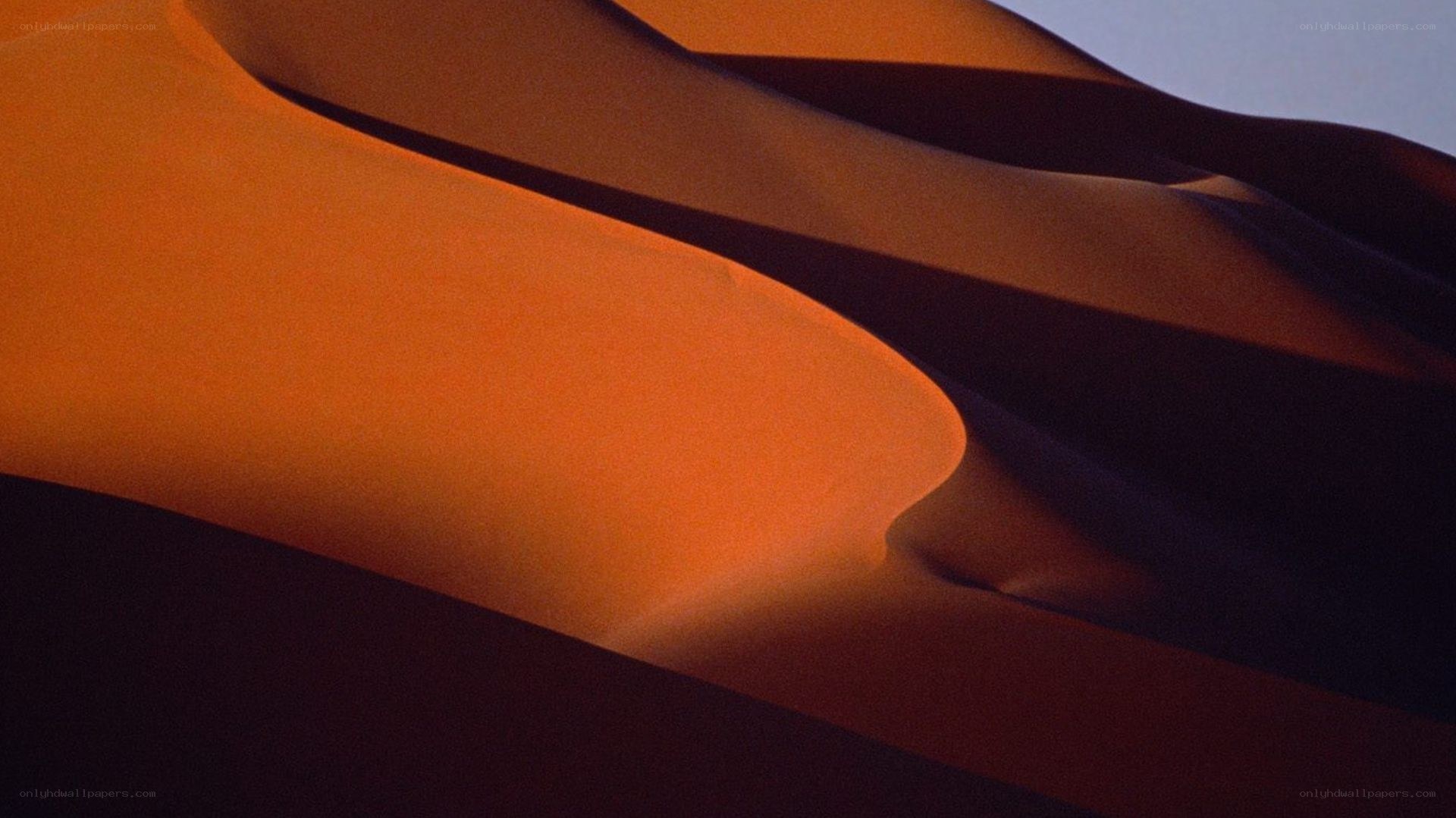 orange sand dunes at dusk