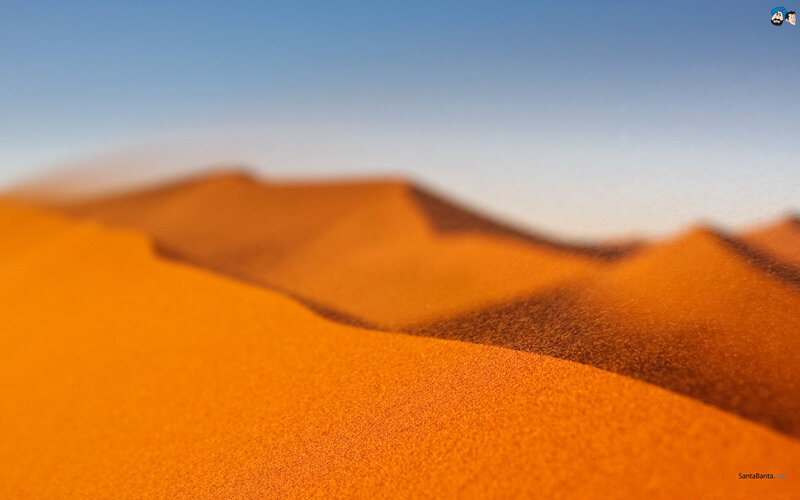 Orange Sand Dunes — Serene, Afternoon, Photograph