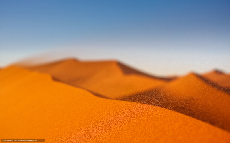 Orange Sand Dunes — Serene, Afternoon