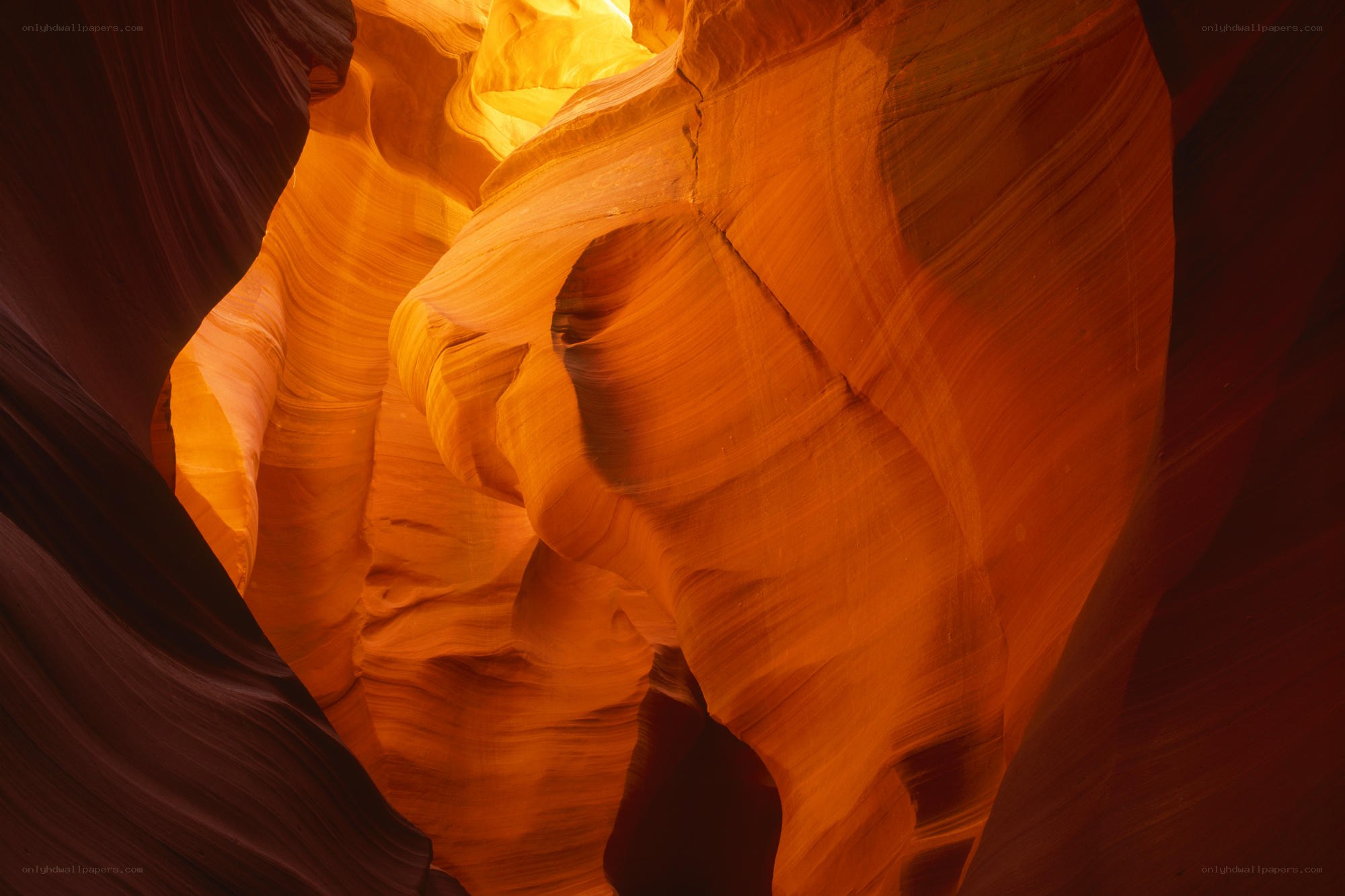Orange sandstone canyon walls