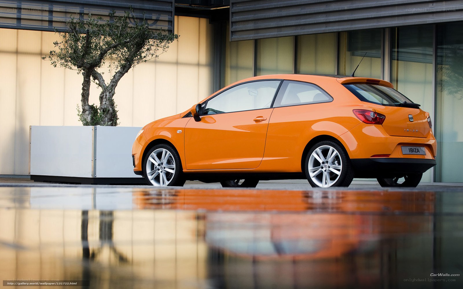 Orange SEAT Ibiza car