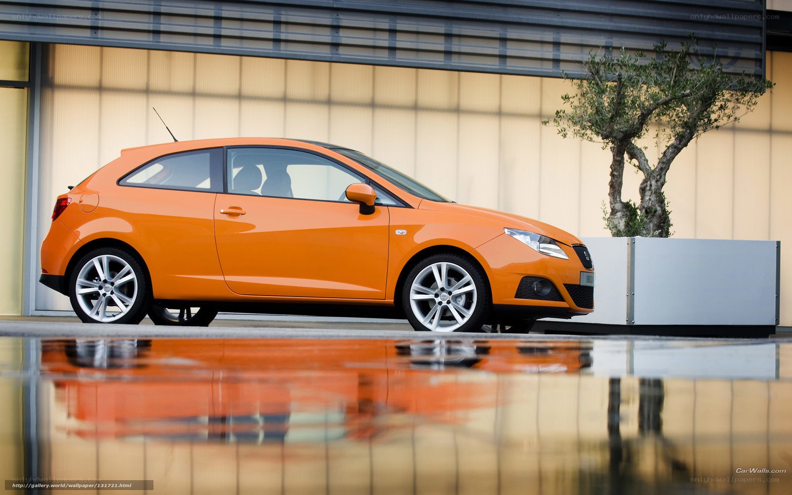 Orange SEAT Leon Cupra