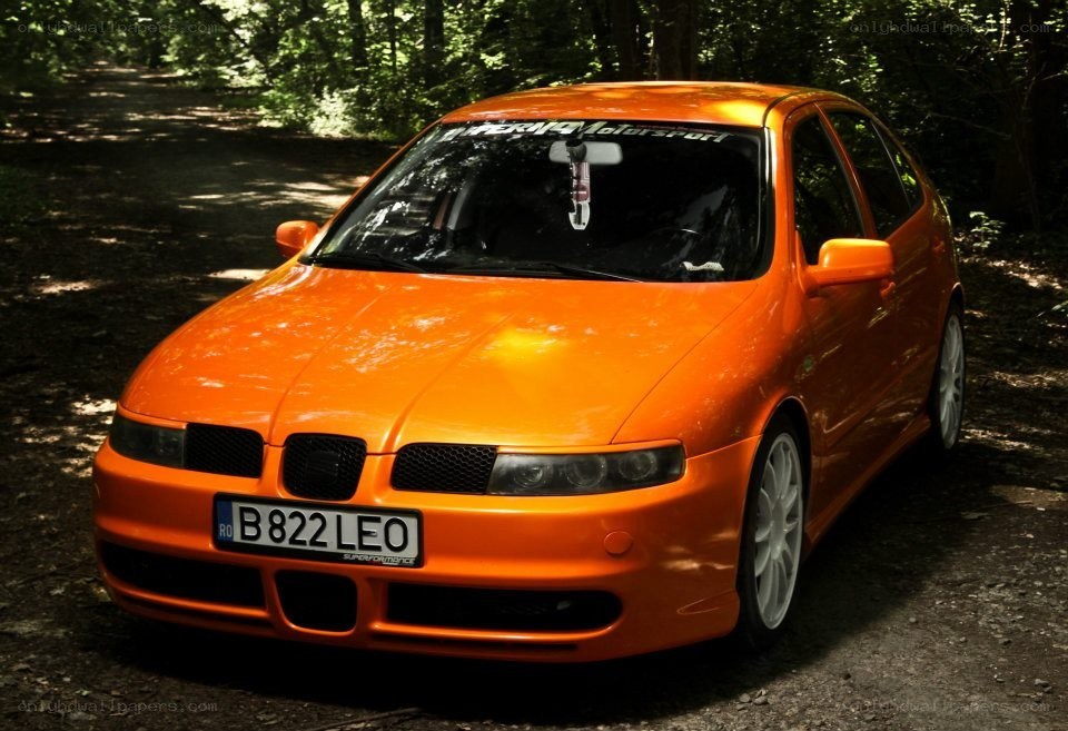 Orange SEAT Leon in forest