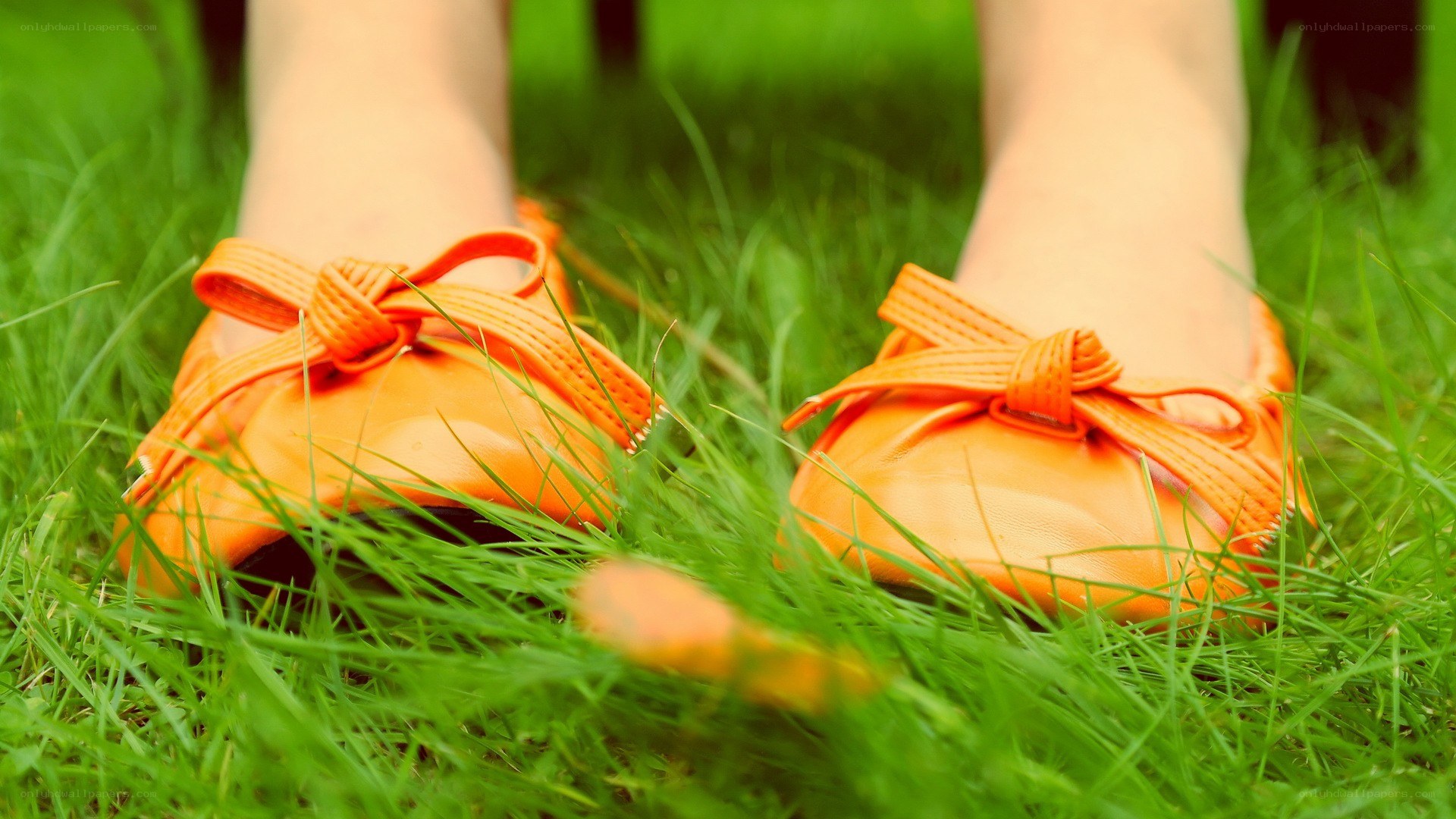 orange shoes on grass