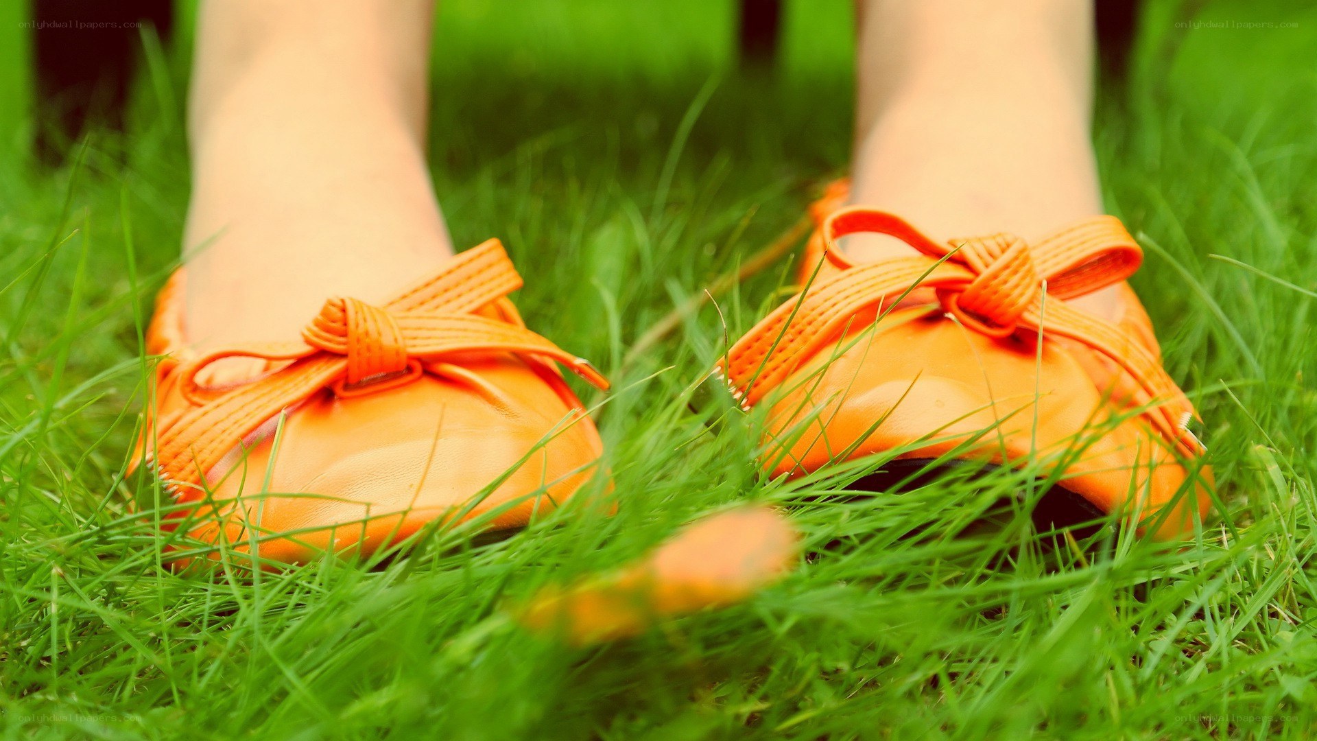 orange shoes on green grass