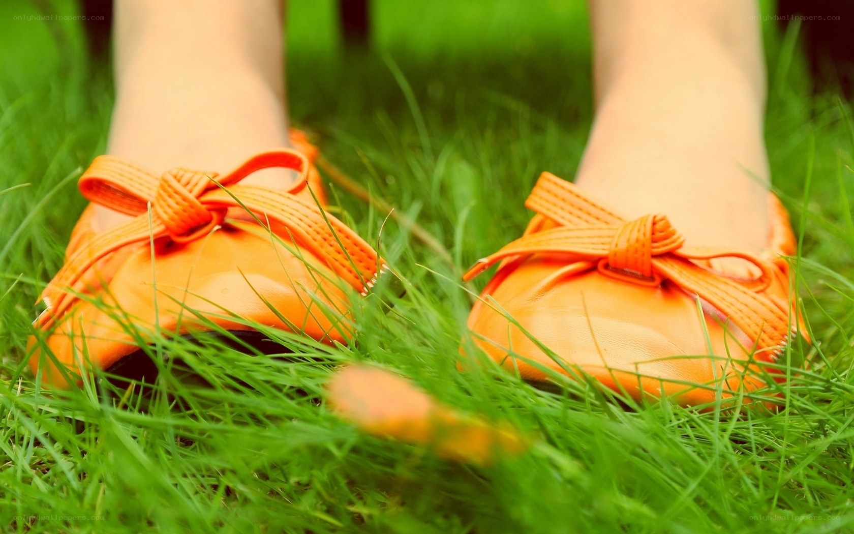 orange shoes on green grass