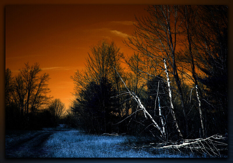 orange sky at dusk