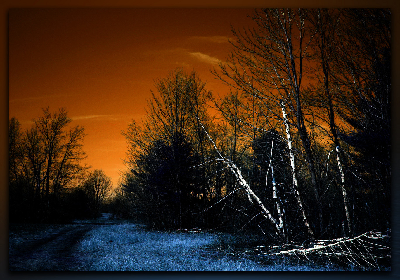 orange sky at dusk
