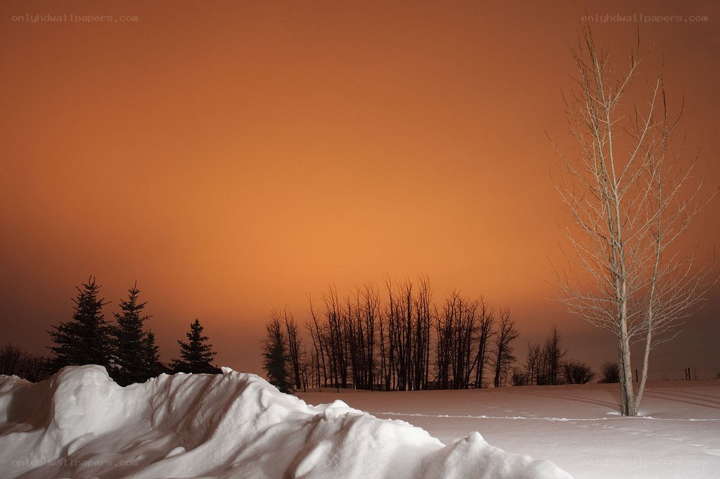 Orange sky over snowy landscape