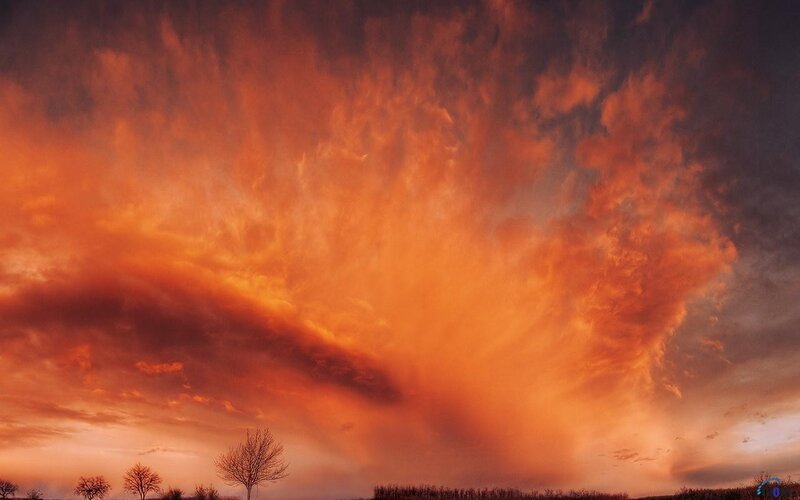 Orange Sky over Trees