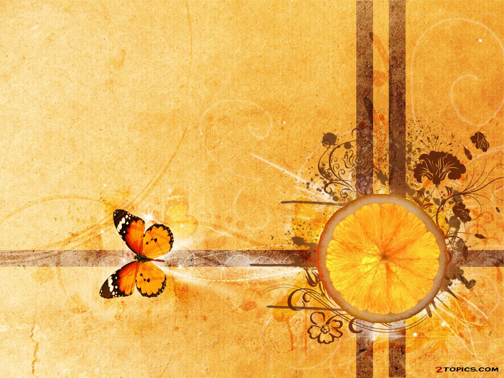 orange slice and butterfly design