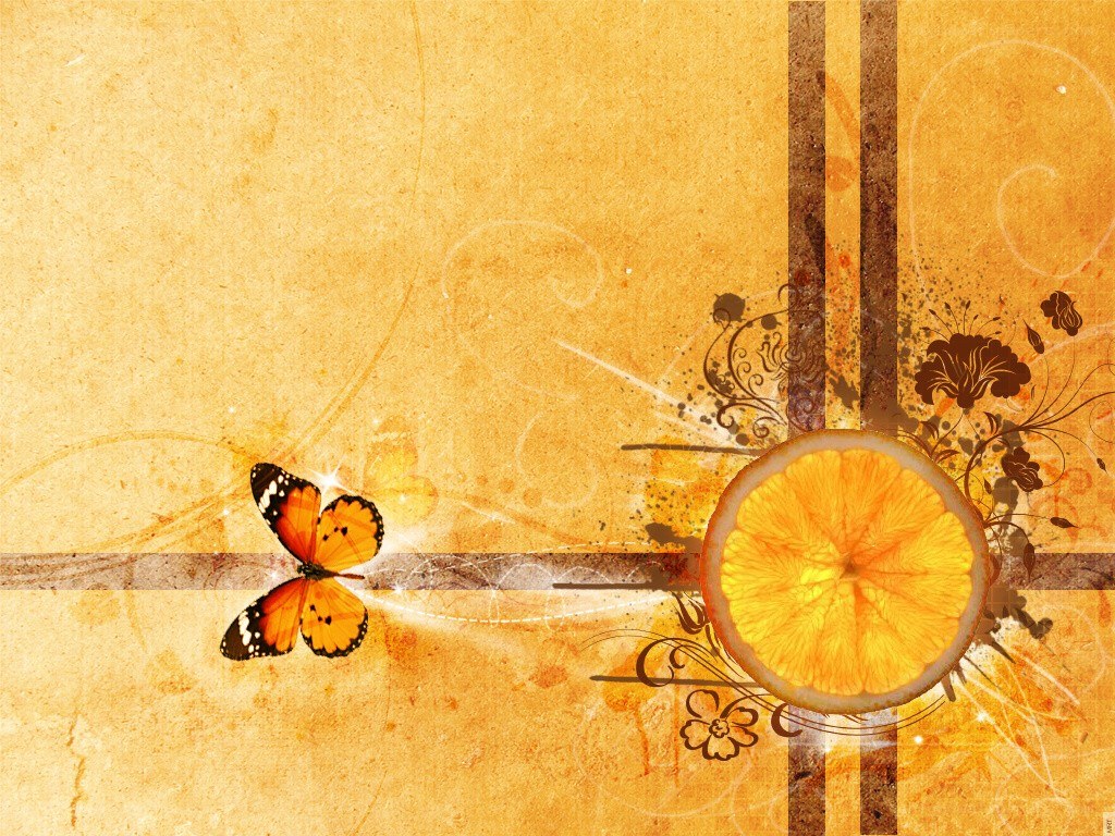 orange slice and butterfly design