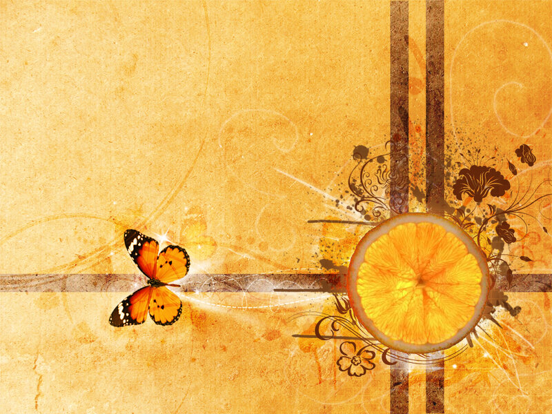 Orange Slice and Butterfly — Warm