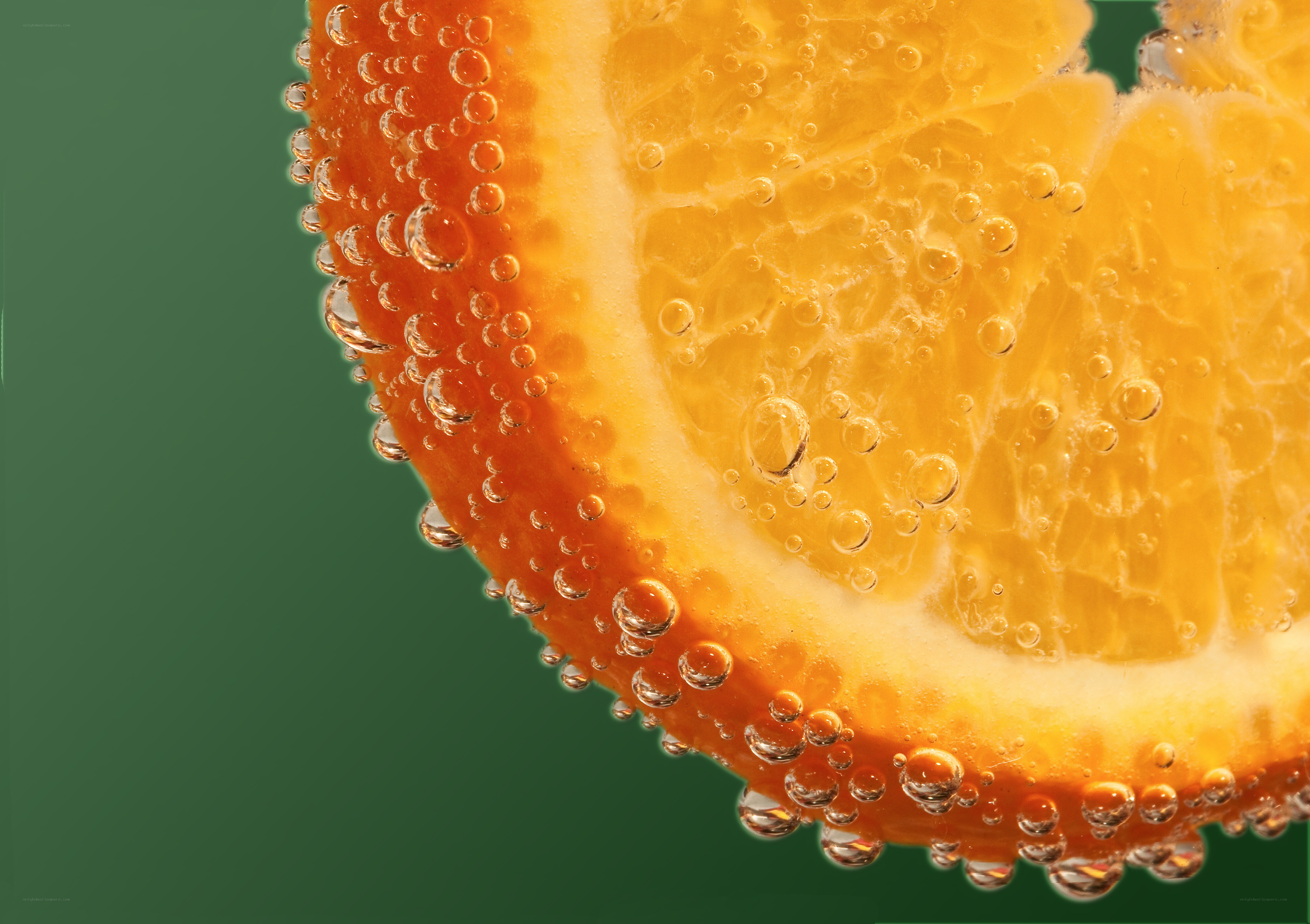 Orange slice in carbonated water