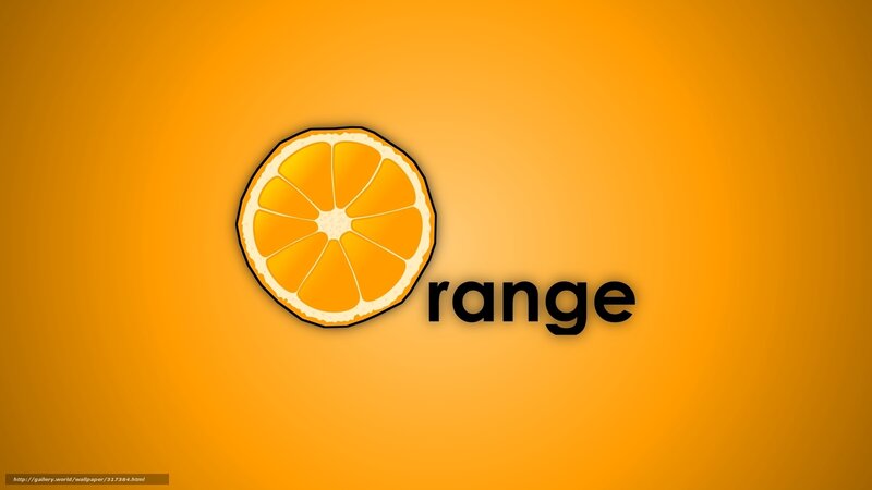 orange slice logo design