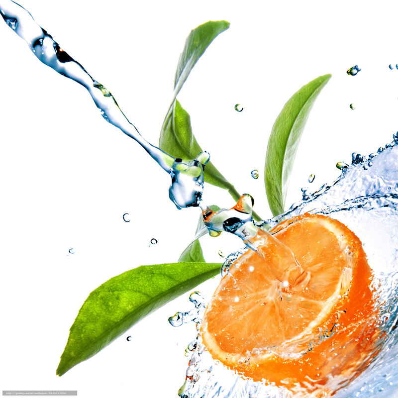 Orange Slice with Water Splash — Vibrant, Photograph