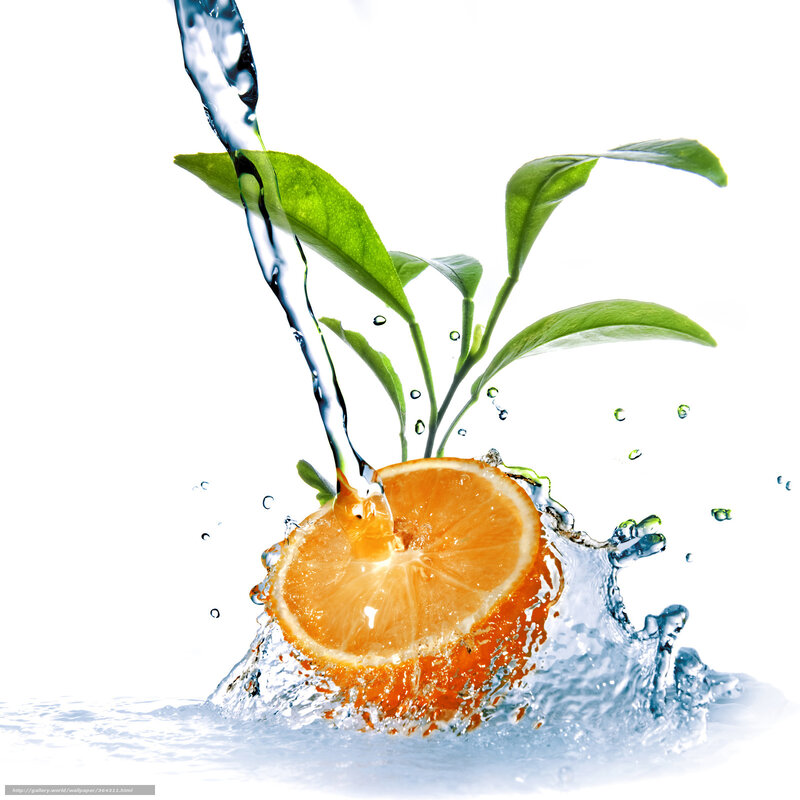 Orange Slice with Water Splash — Vibrant