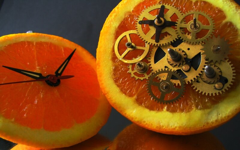 orange slices with clock gears