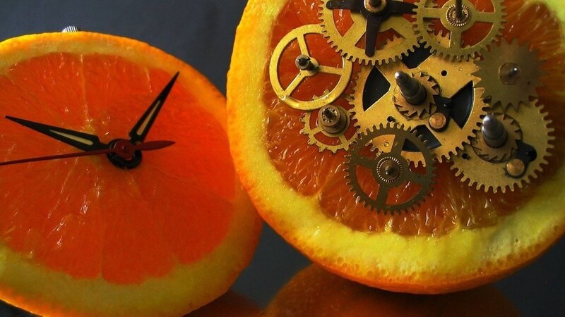 Orange Slices with Gears — Dramatic, Photograph