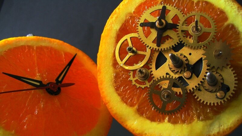 Orange Slices with Gears — Dramatic