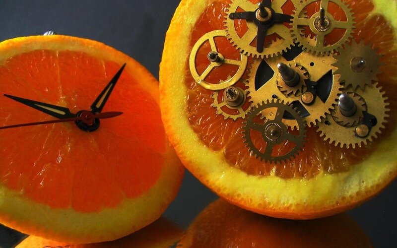 Orange Slices with Gears