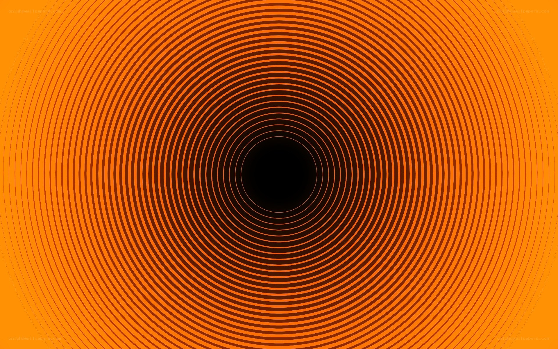 orange spiral tunnel