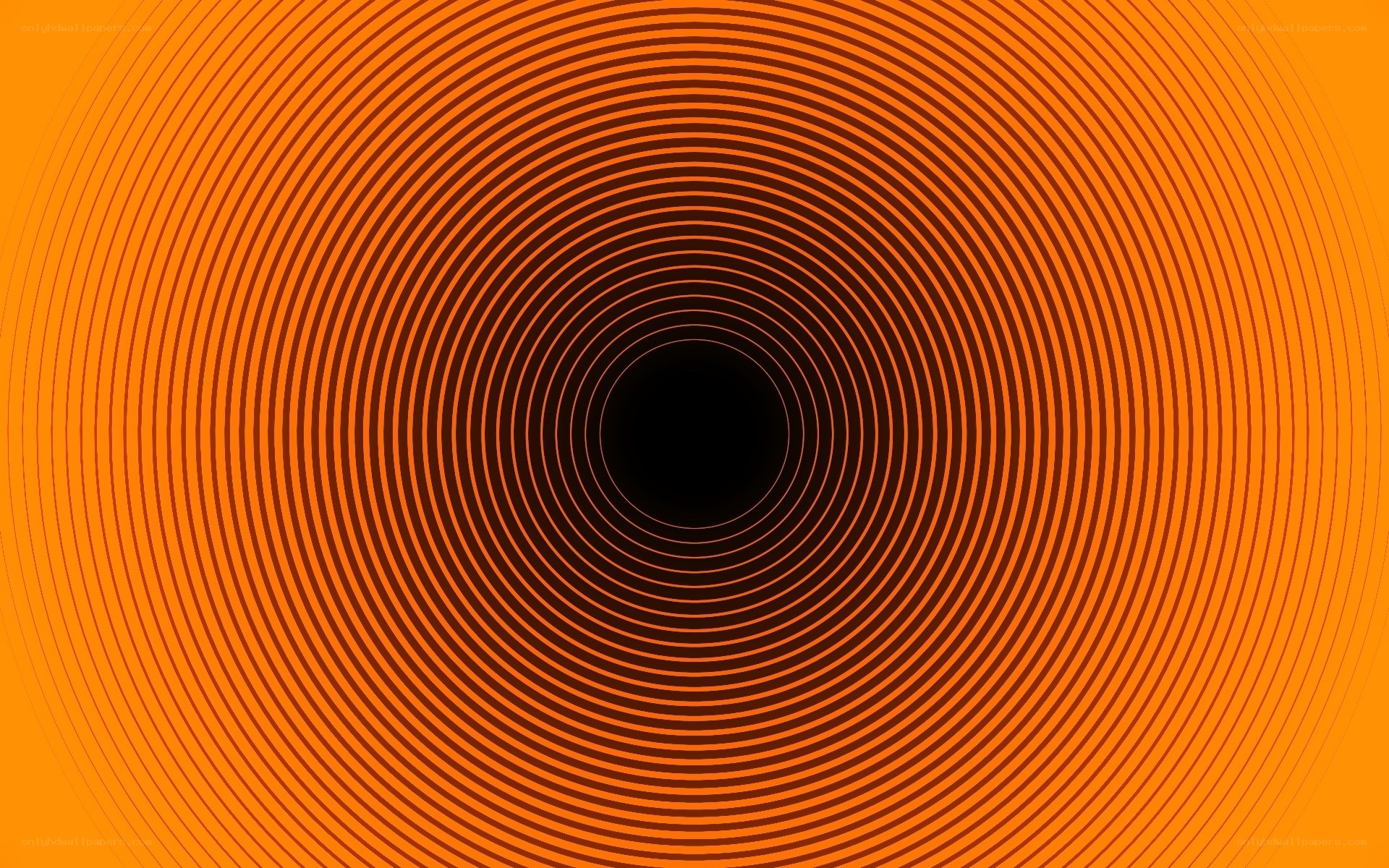 orange spiral tunnel