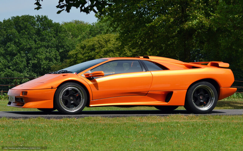 Orange Sports Car — Calm, Afternoon, Photograph, Grass, Trees