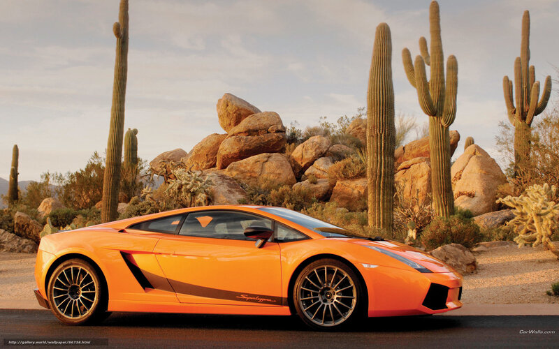 Orange Sports Car — Dramatic, Sunset, Photograph, Cactus