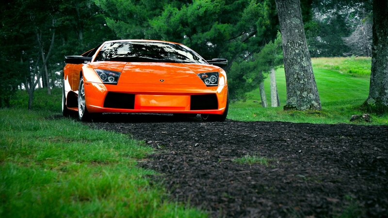 orange sports car in forest