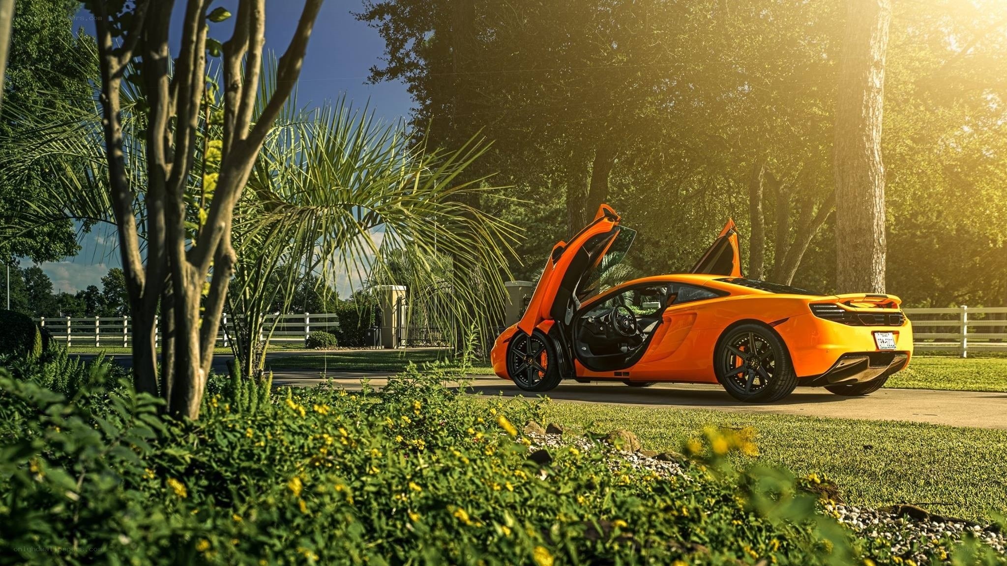 Orange sports car in garden