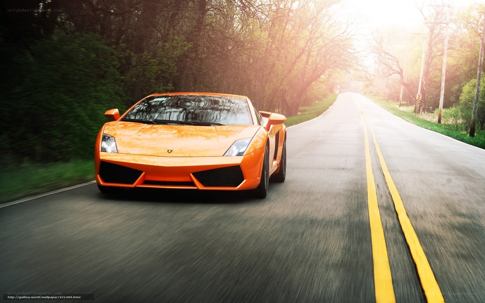 Orange sports car on country road