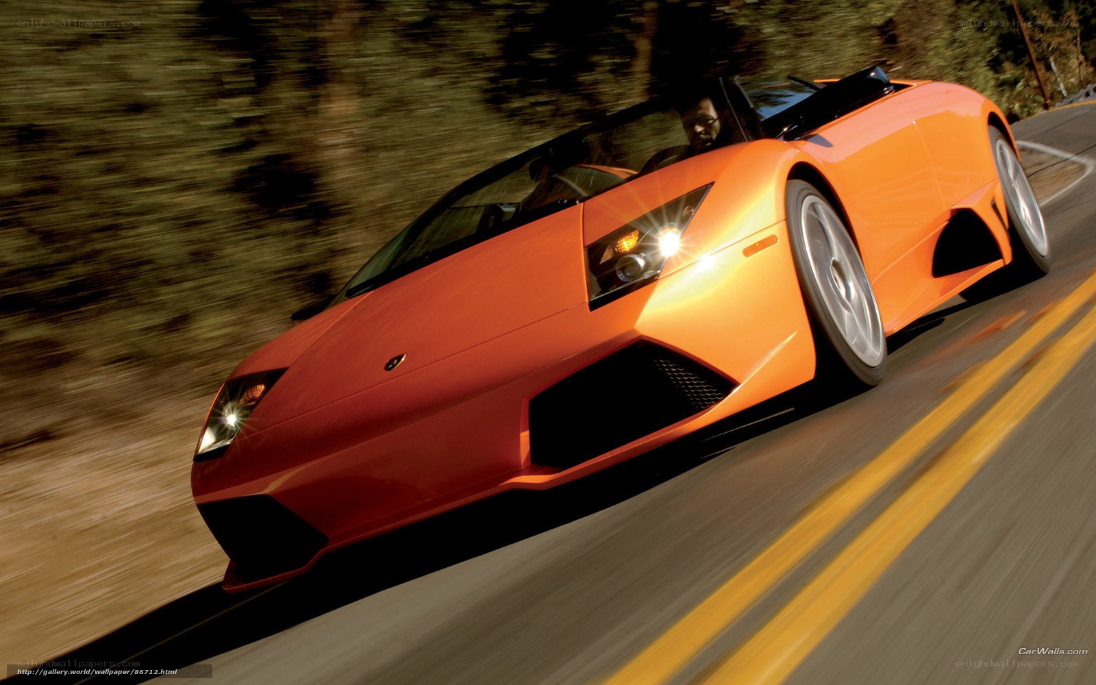 orange sports car on road