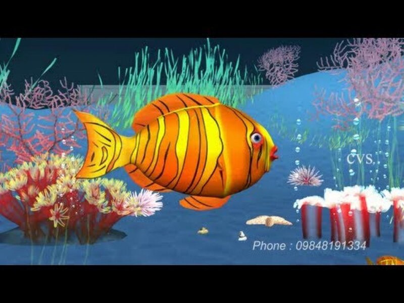 Orange Striped Fish