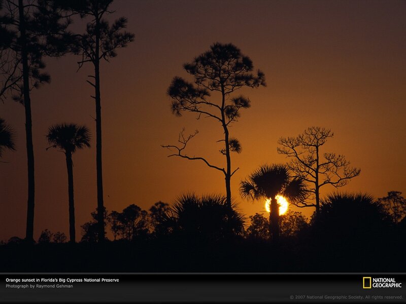 Orange sunset in Big Cypress