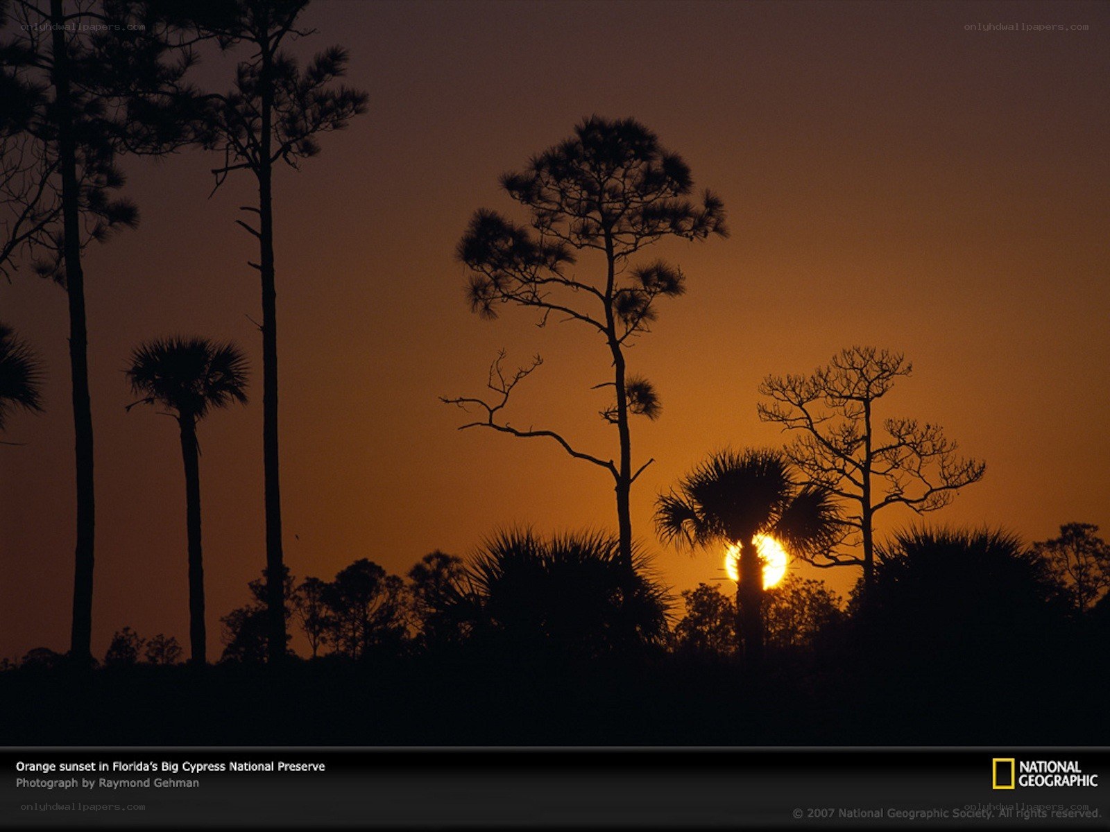 Orange sunset in Big Cypress