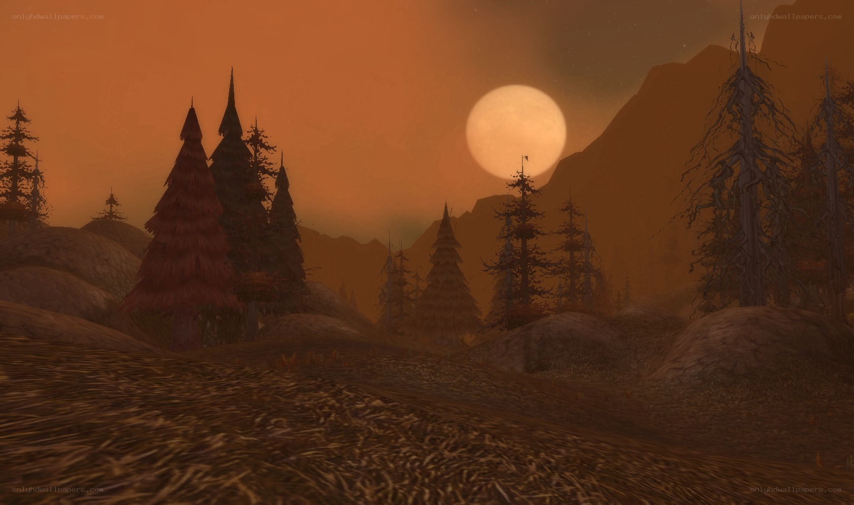 orange sunset over a forest