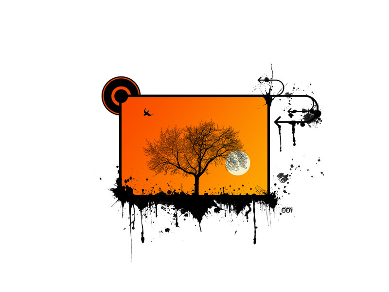 orange sunset with tree silhouette