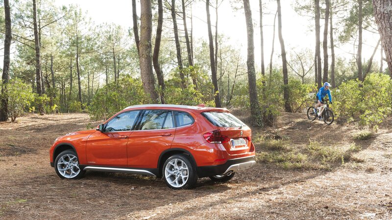 Orange Suv in Forest