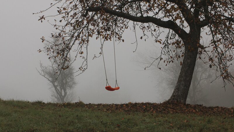 Orange Swing under Tree — Green
