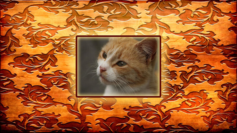 Orange Tabby Cat — Brown, Calm, Photograph, Wood Carving