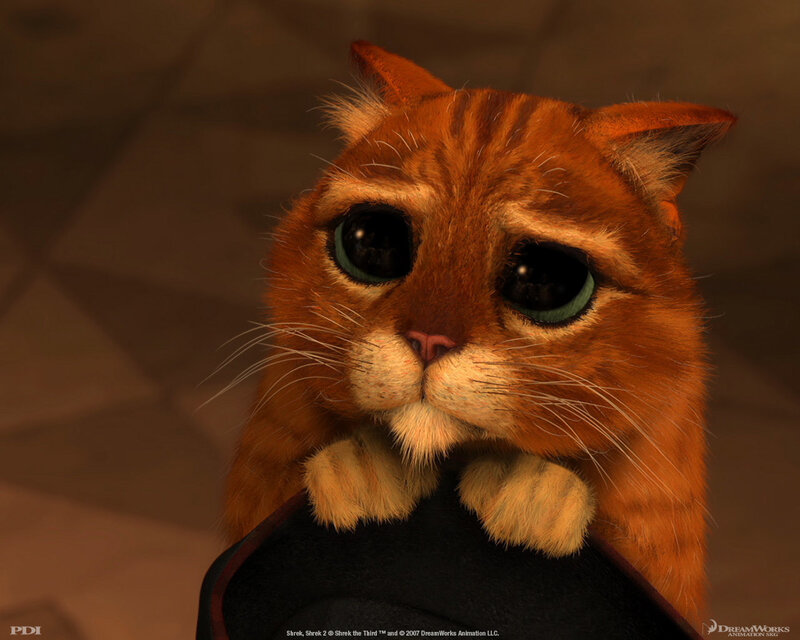 Orange Tabby Cat — Calm, 3d Render, Hat