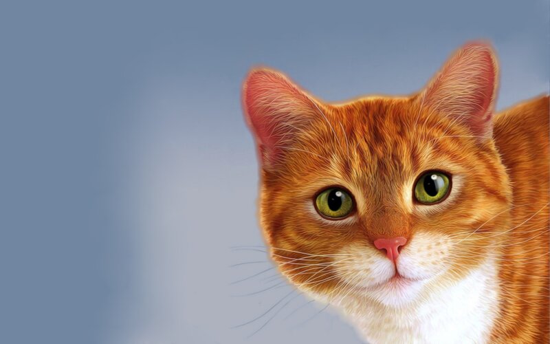 Orange Tabby Cat — Calm, Digital Art, Green Eyes