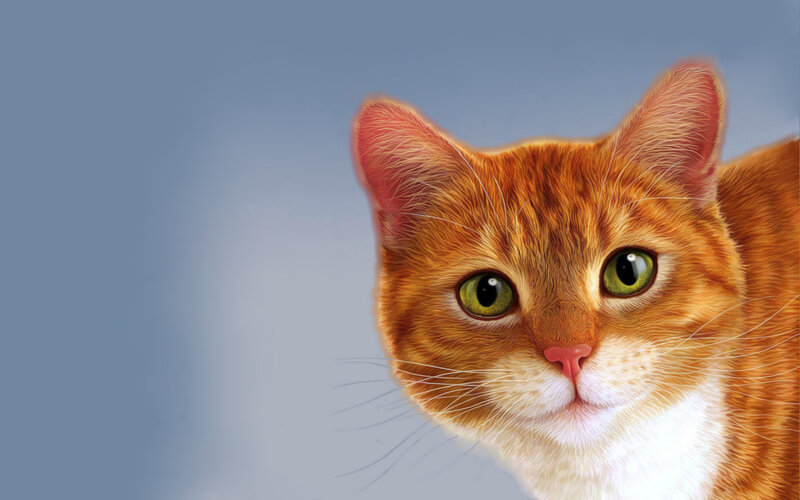 Orange Tabby Cat — Calm, Digital Art