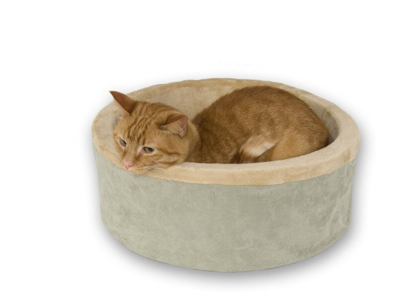 Orange Tabby Cat — Calm, Photograph, Cat Bed