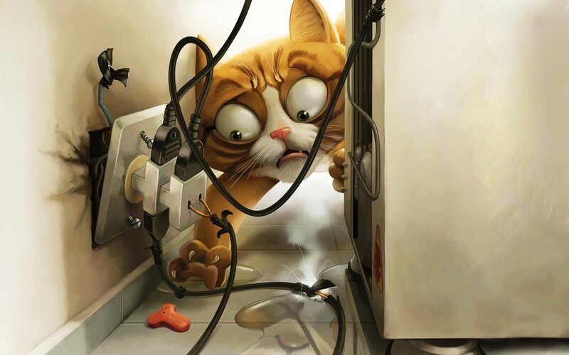 Orange Tabby Cat — Dramatic, Digital Art