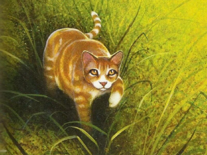 Orange Tabby Cat — Green, Alert, Afternoon, Illustration