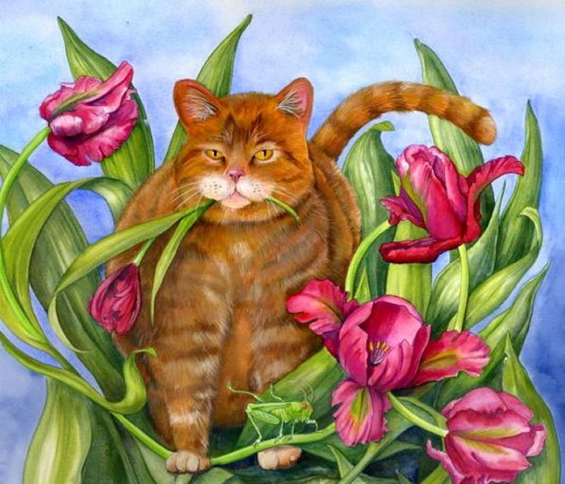 Orange Tabby Cat — Green, Calm