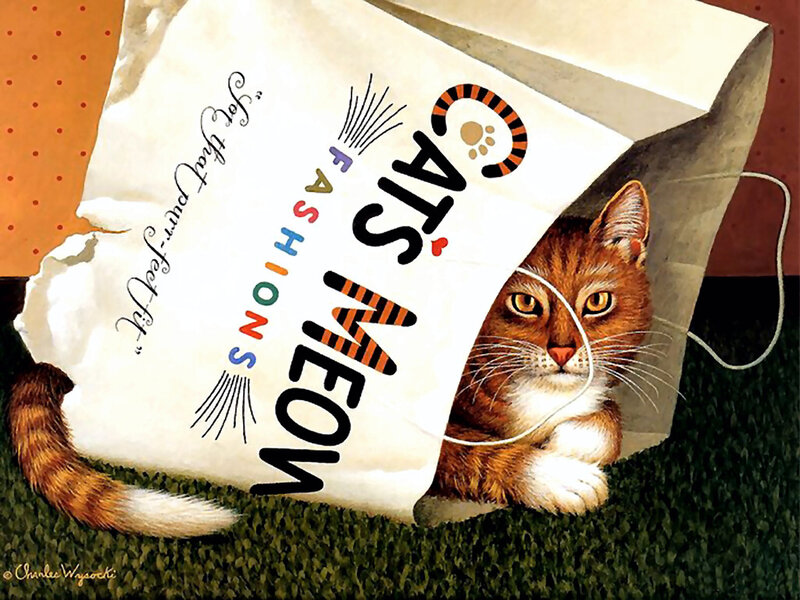 Orange Tabby Cat in Bag